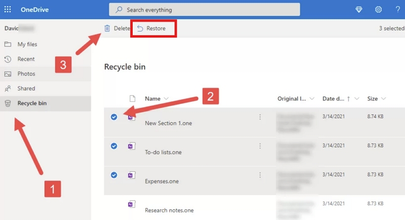 check Recycle Bin